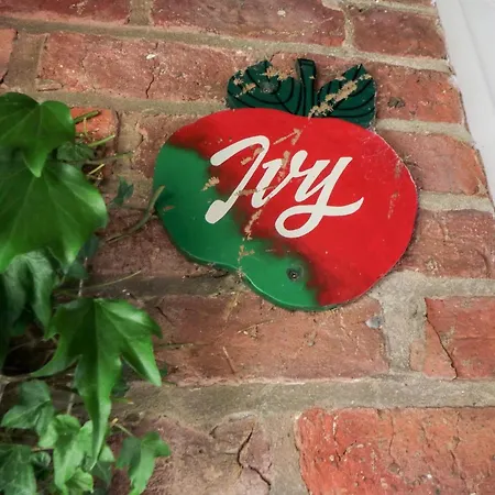 Ivy * Filey